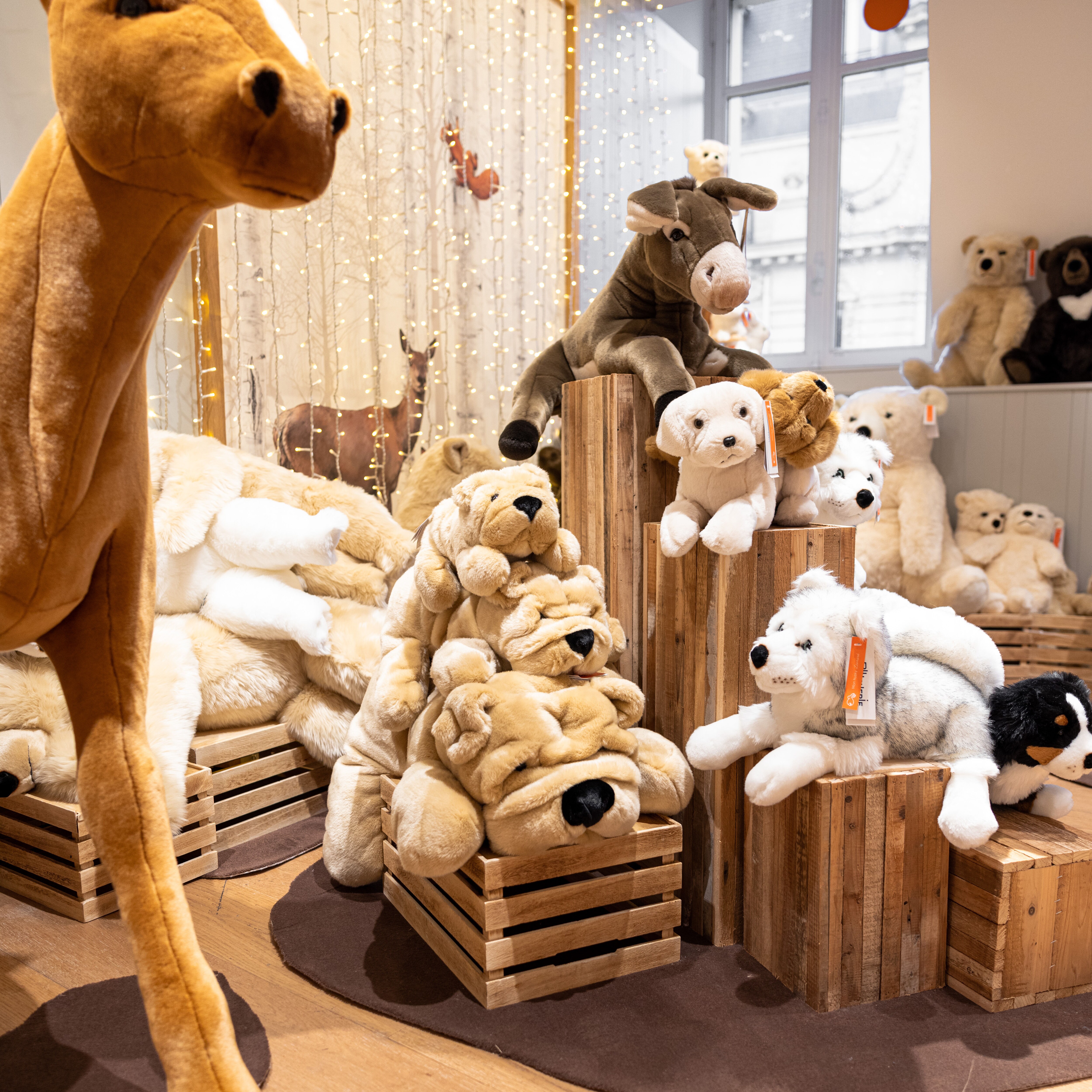 La pelucherie 2025